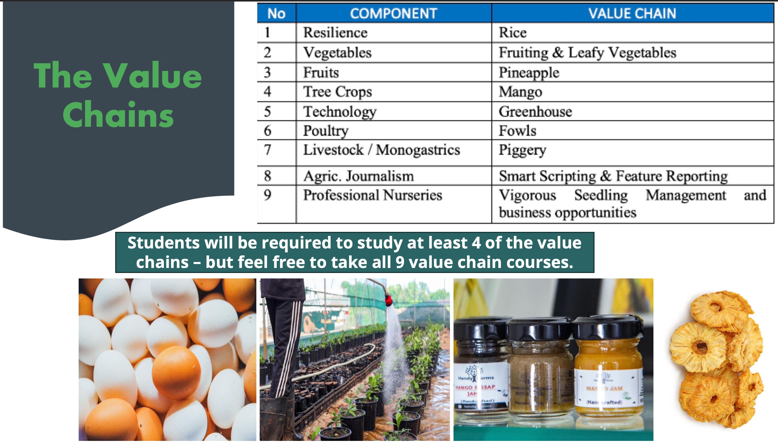 The Value Chains